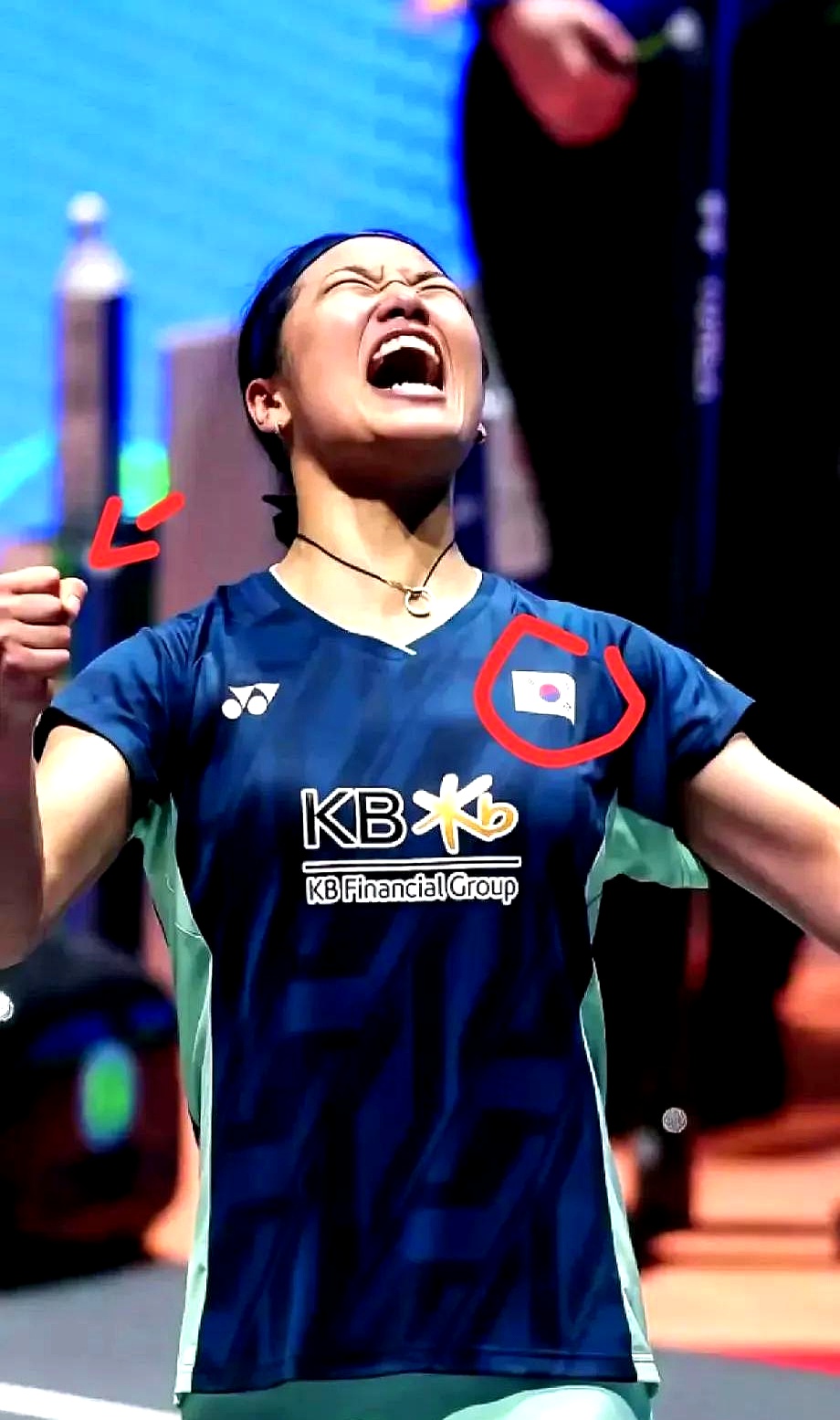 PG电子游戏-关于韩国羽毛球队绝杀法国羽毛球队，马琳绝境逆转的信息