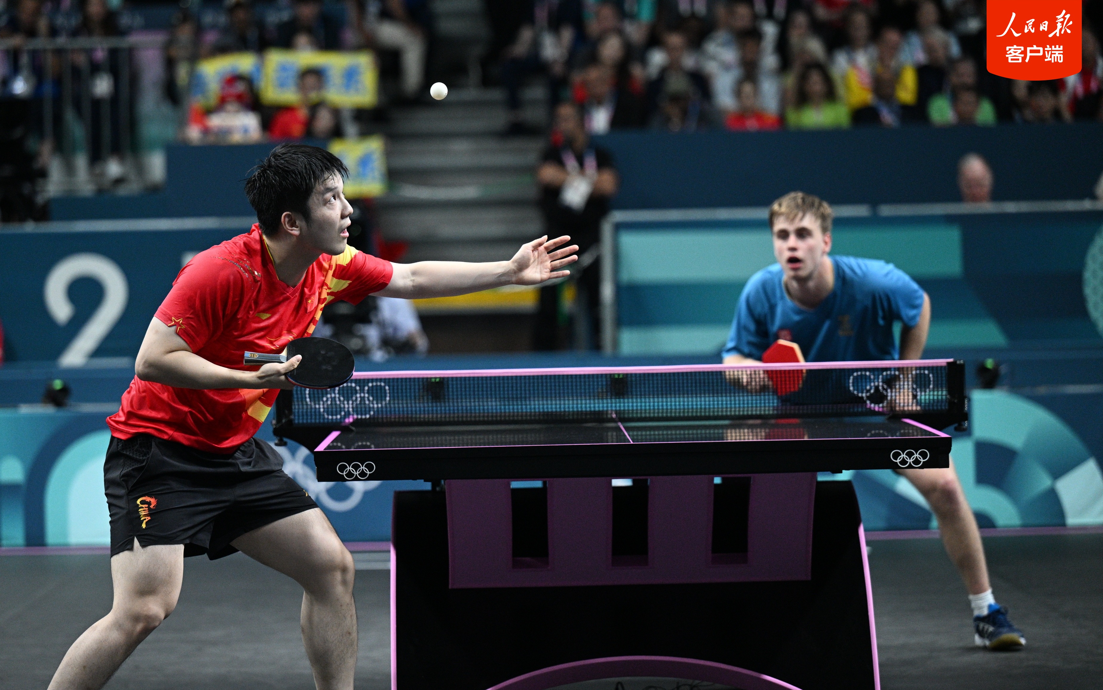 包含波兰乒乓球队横扫瑞典乒乓球队，樊振东高光表现的词条