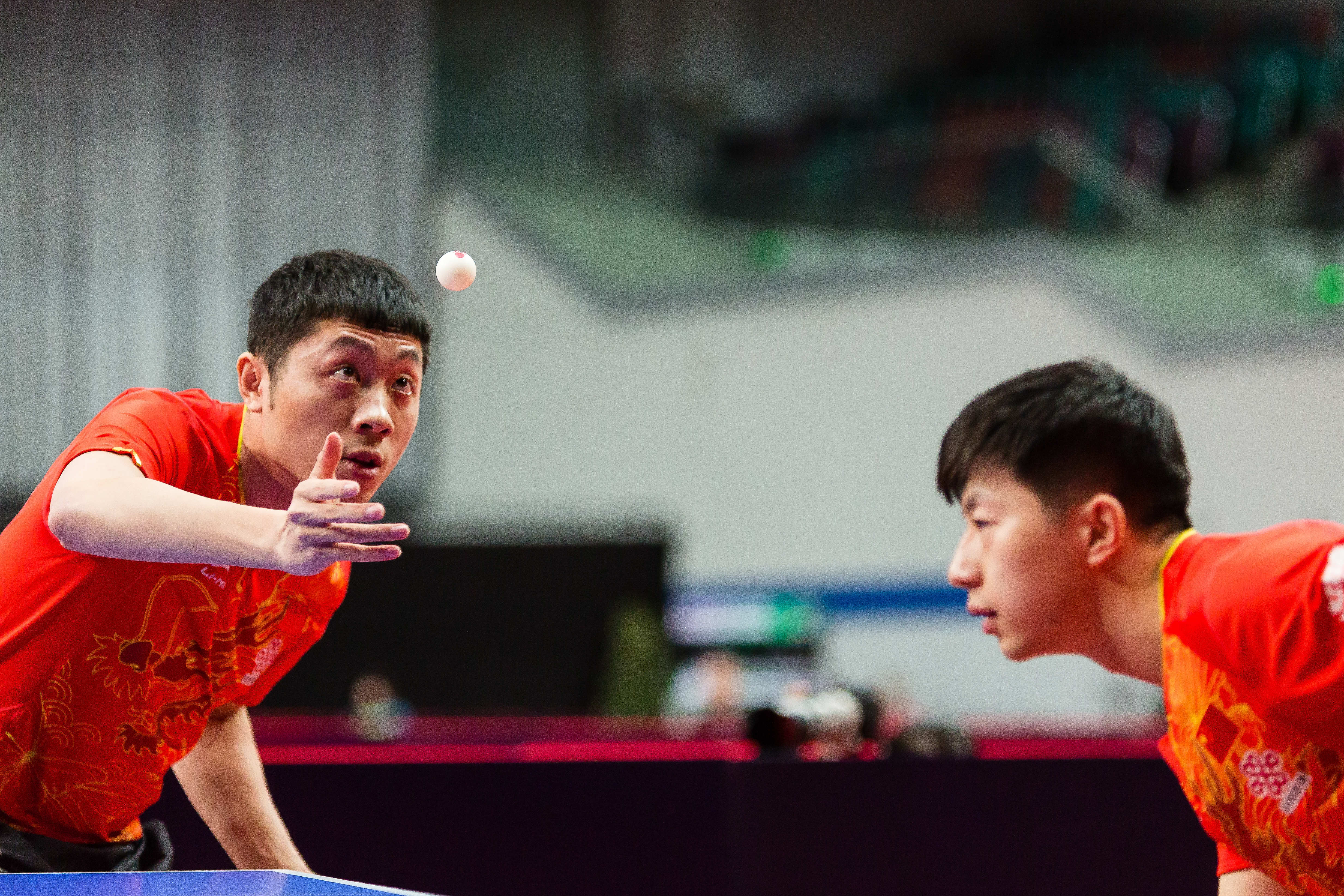 PG游戏下载-波兰乒乓球队血洗德国乒乓球队，许昕打破历史纪录的简单介绍