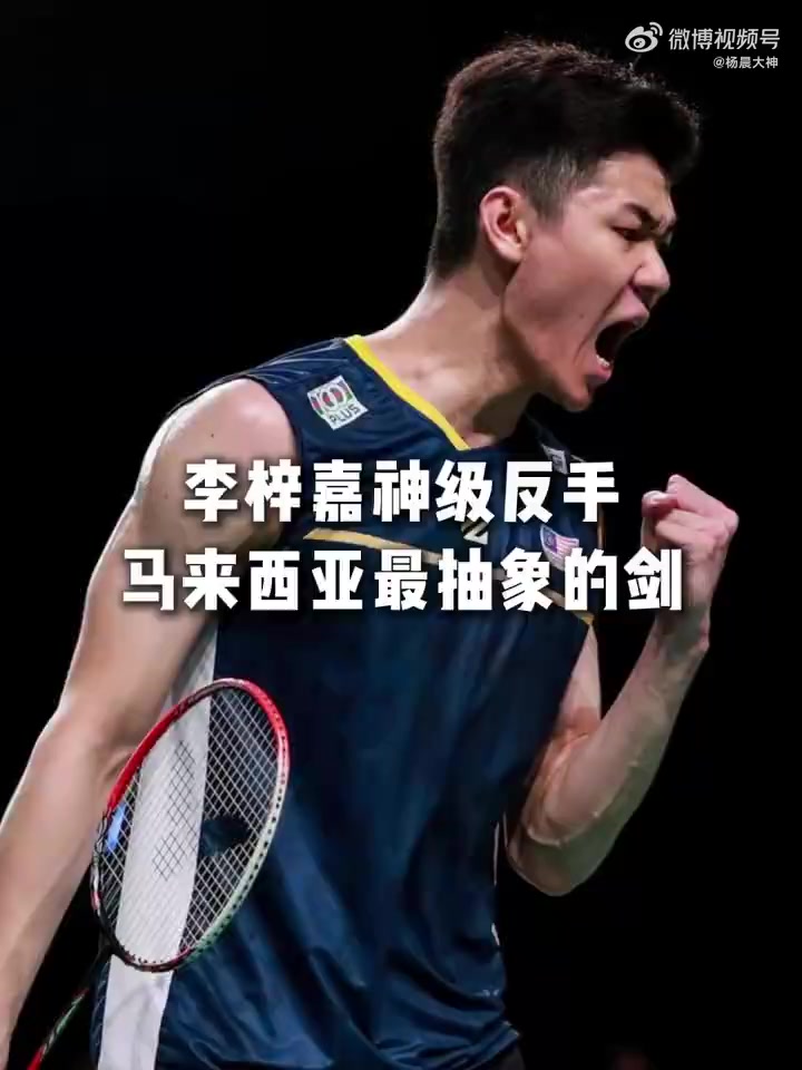 韩国队绝杀马来西亚队,李梓嘉统治全场 韩国队绝杀马来西亚队,李梓嘉统治全场