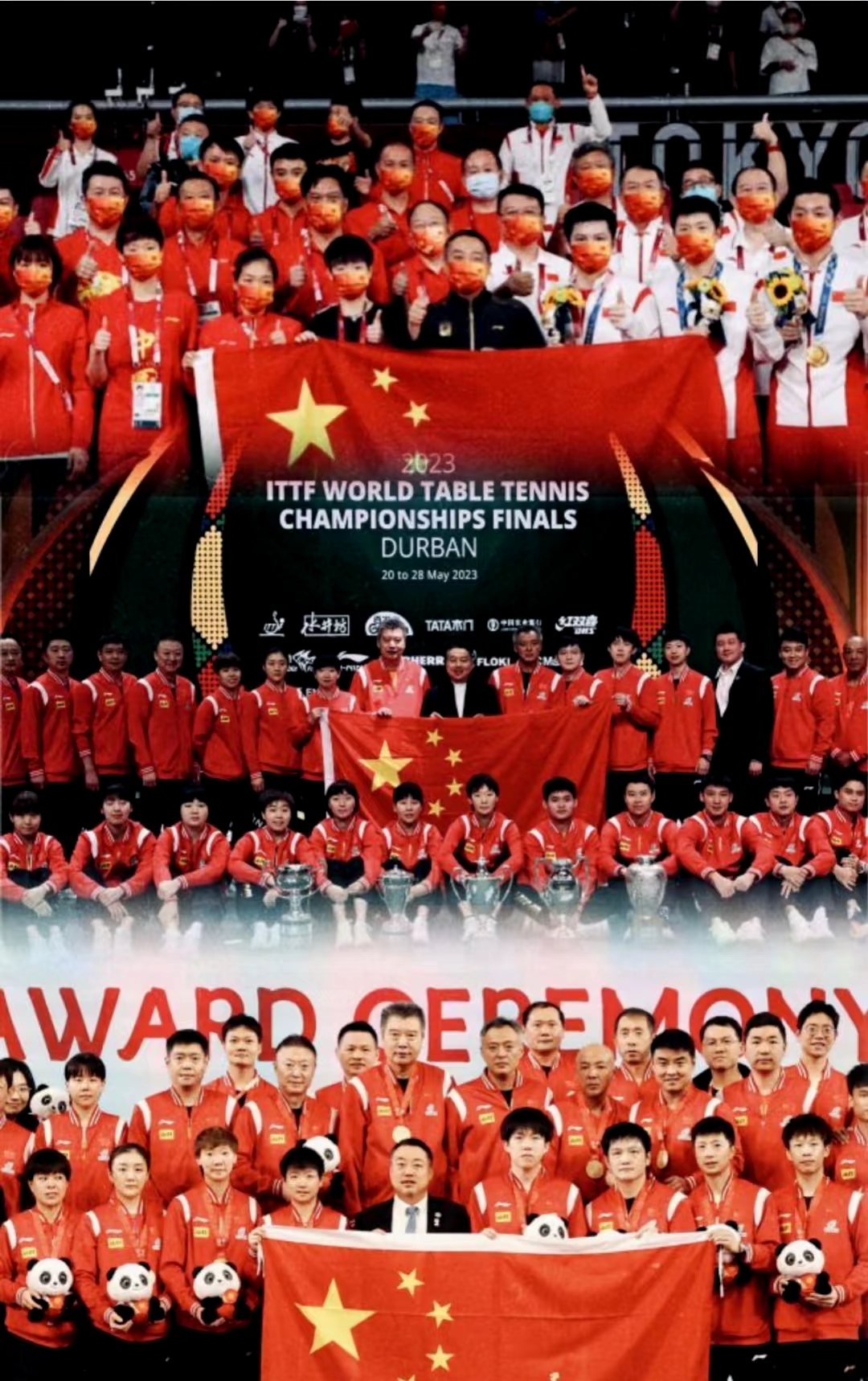 PG电子官方-国家队在奥运赛场上勇创佳绩，令人震撼