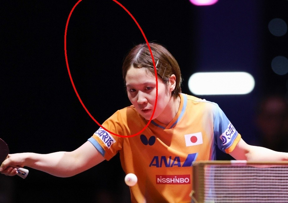 PG电子官方-包含日本乒乓球队绝杀比利时乒乓球队，许昕绝境逆转的词条