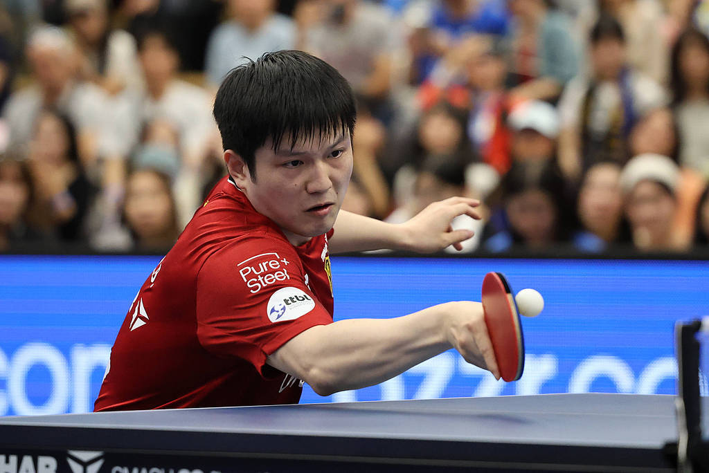 韩国乒乓球队完胜德国乒乓球队，樊振东惊艳世界的简单介绍