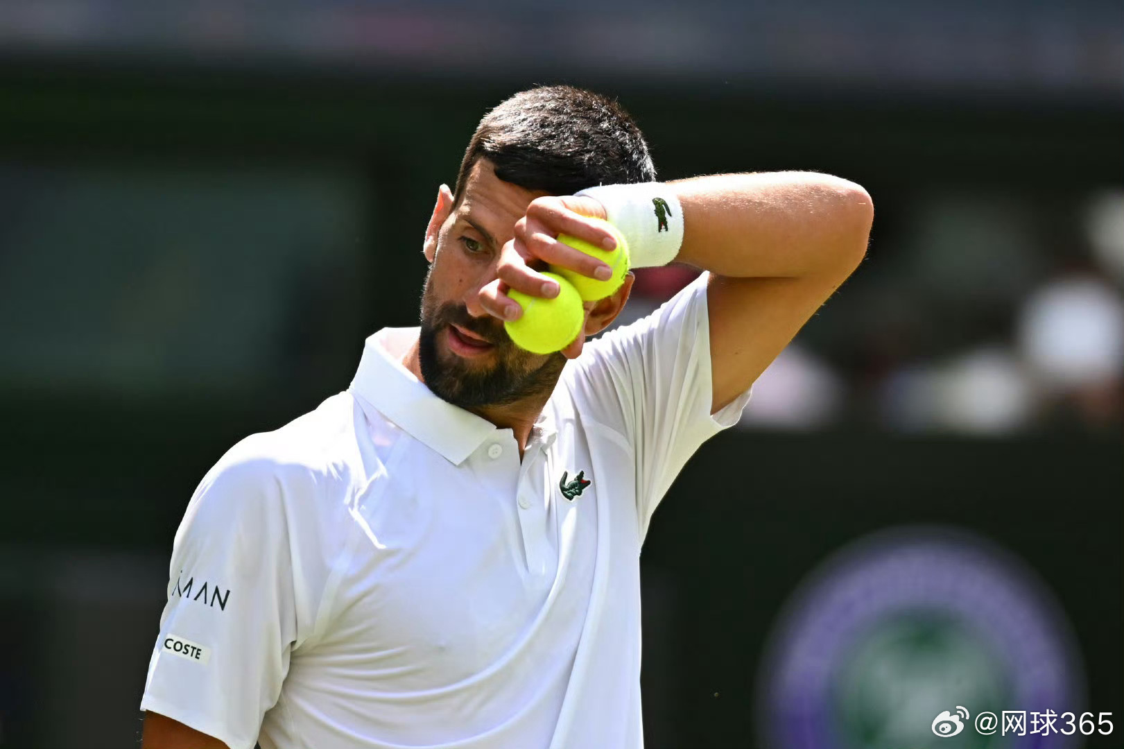 美网绝杀温网，德约科维奇统治全场