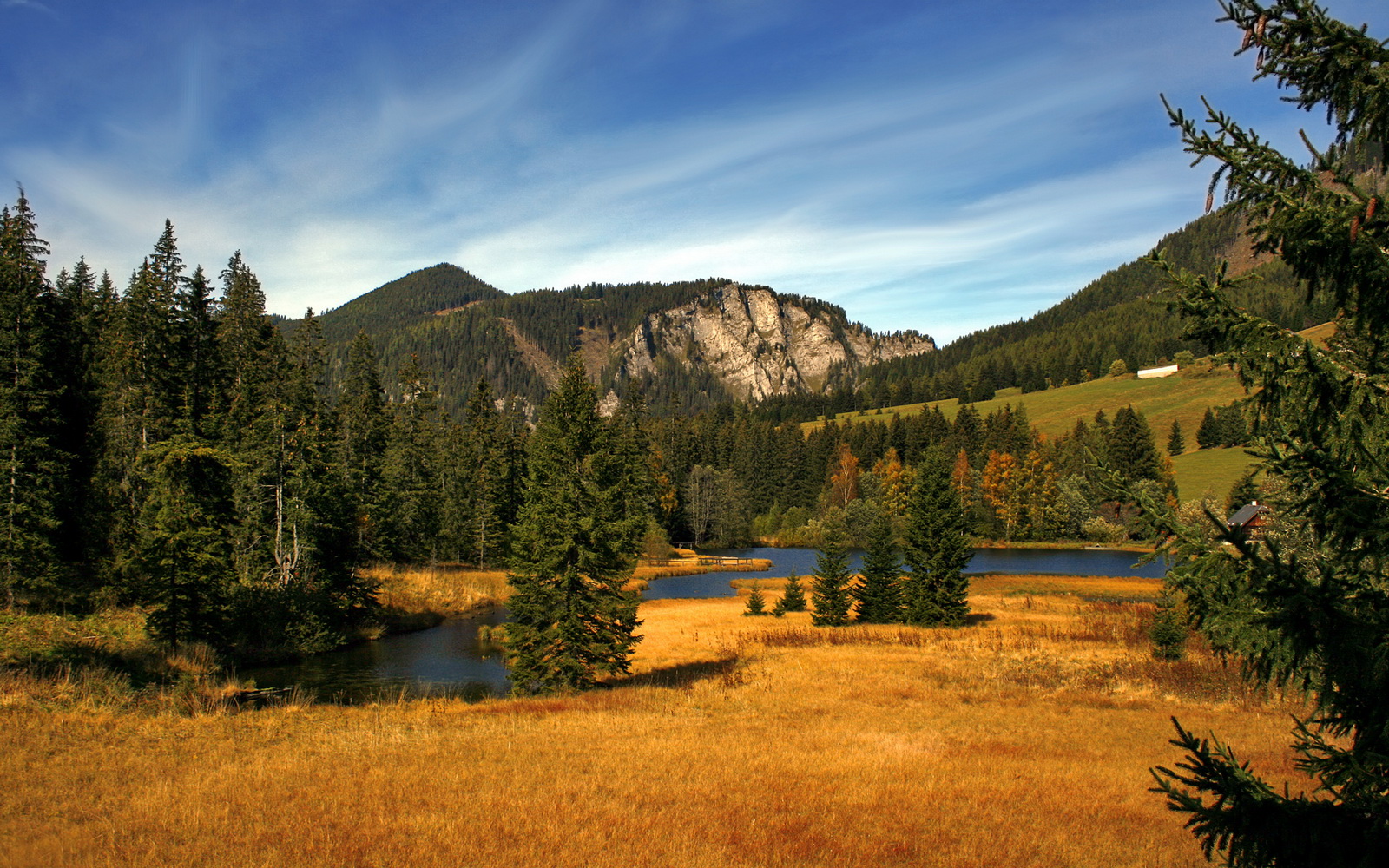 火箭巅峰对决胜出雷霆，西亚卡姆关键时刻站出来
