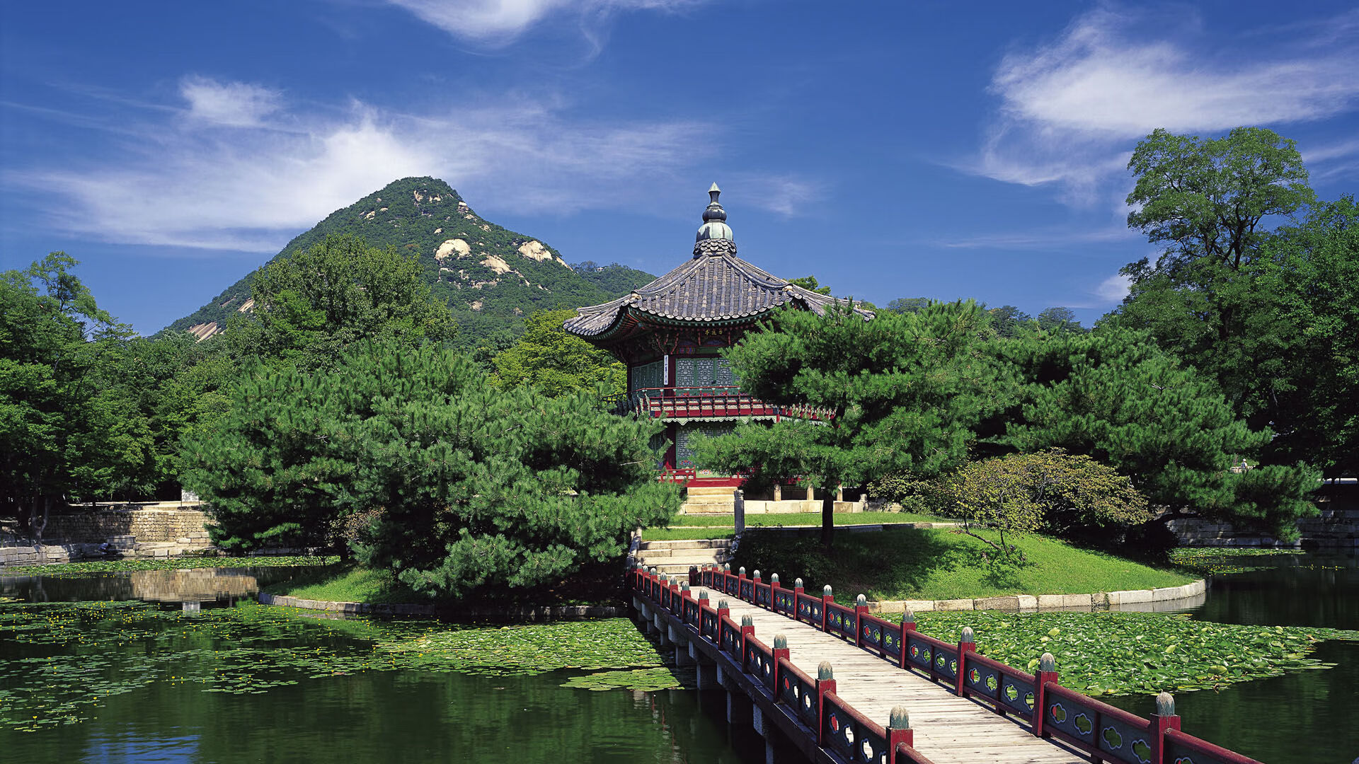 约基奇全能统治诠释巨星真义，凯尔特人体系强压浙江显冠军底蕴